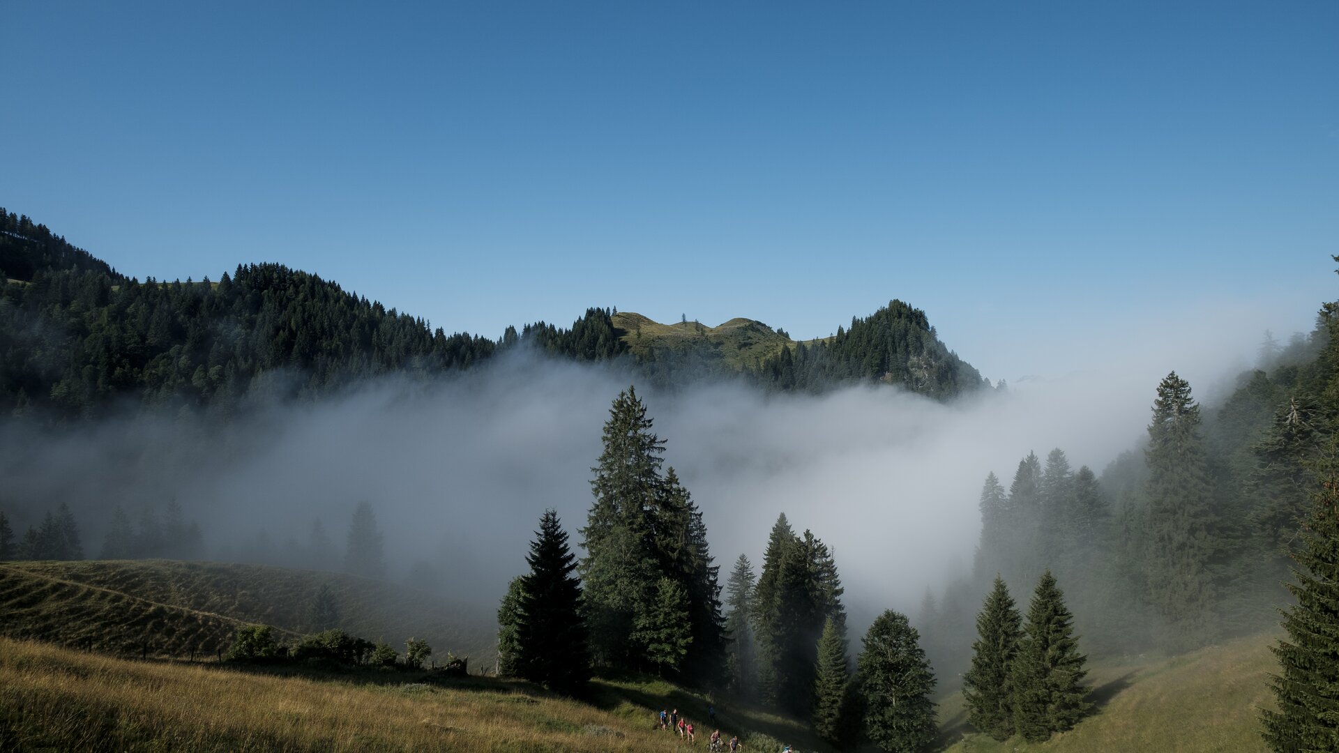 Baumgruppe im NebelEine Wandergruppe läuft durch ein nebelverhangenes Tal im Chiemgau. | © DAV/Hans Herbig